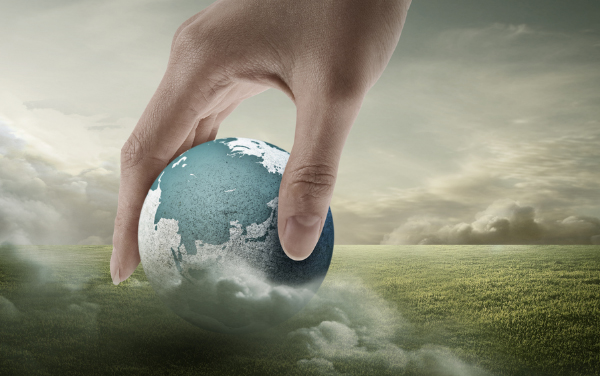 新昌尊龙凯时收支口有限公司